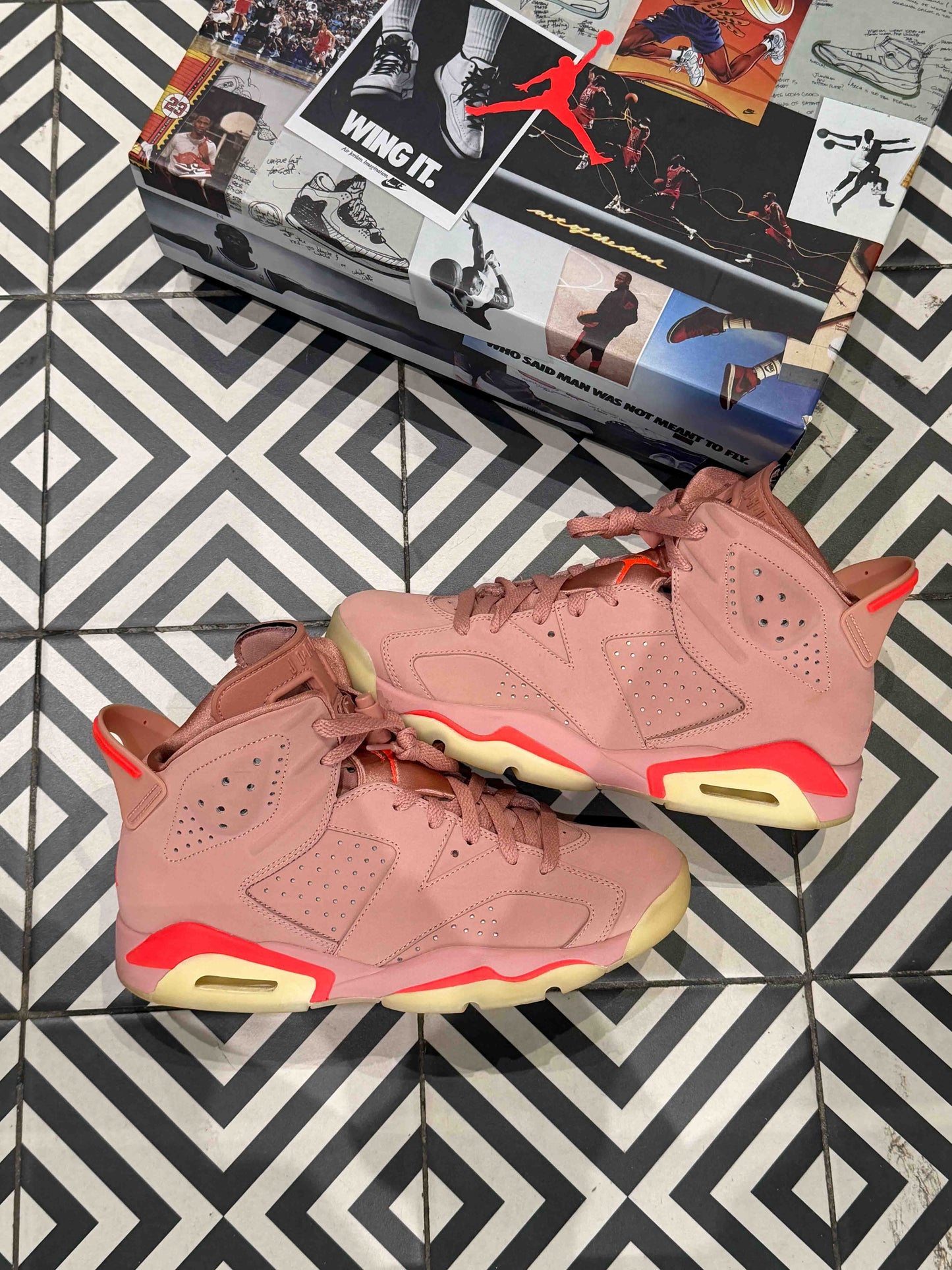 Jordan 6 Aleali May (Taille 41)