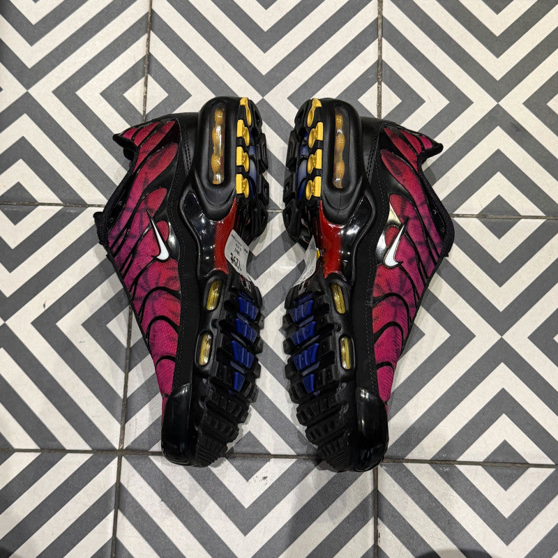 Air Max Plus (TN) Anniversary (Taille 44)