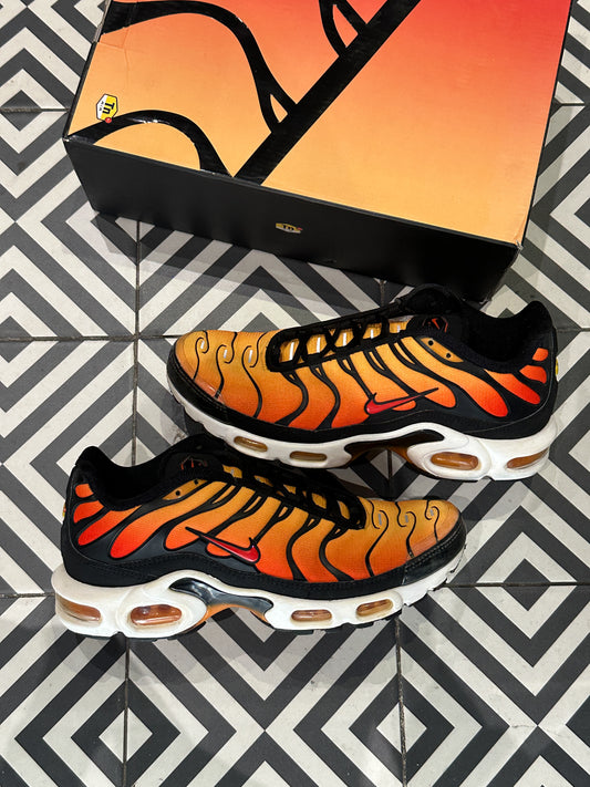 Air Max Plus (TN) Tiger 2018 (Taille 42,5)