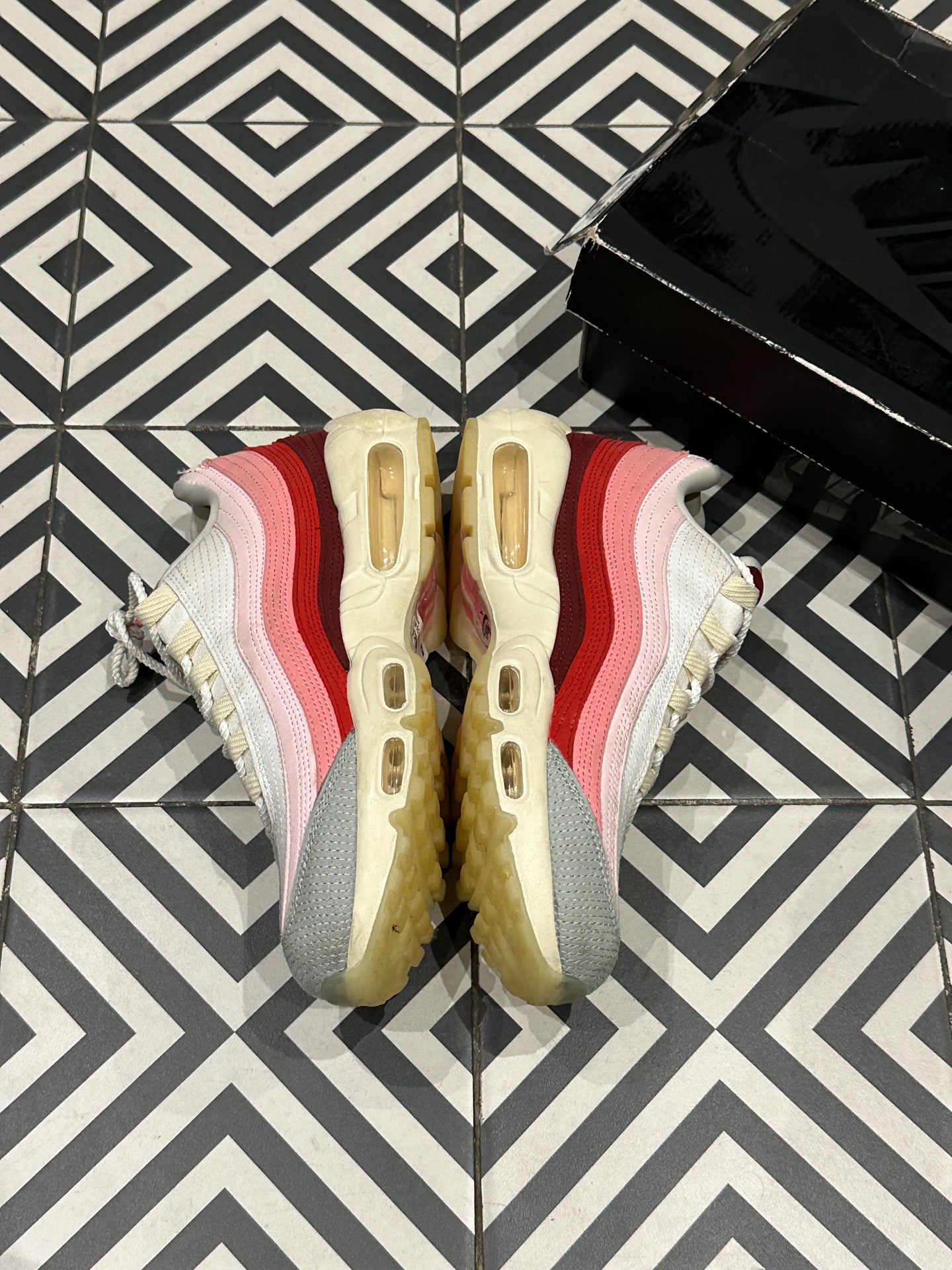 Air Max 95 Anatomy (40,5)