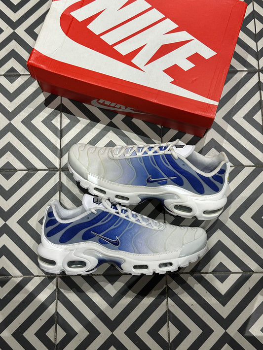 Air Max Plus (TN) Fade Blue (43)