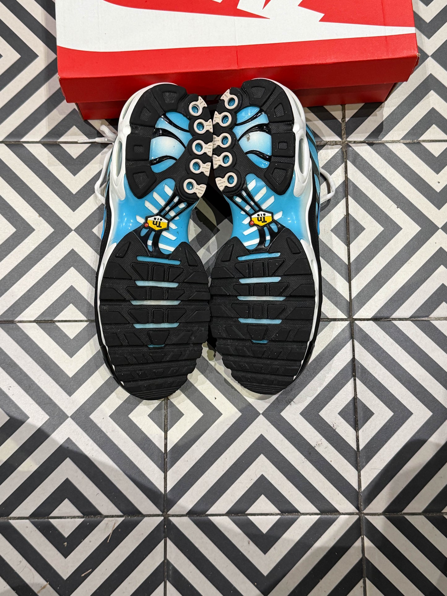 Air Max Plus (TN) Baltic Blue (Taille 45)