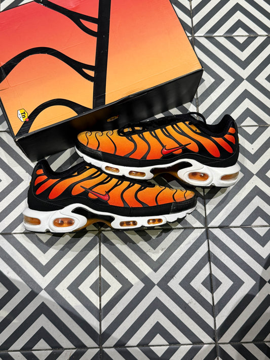 Air Max Plus (TN) Pimento (Taille 44)