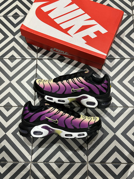 Air Max Plus (TN) Berry (42)