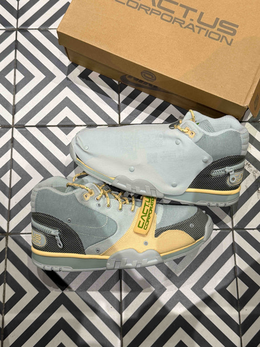 Air Trainer Travis Scott (Taille 45)