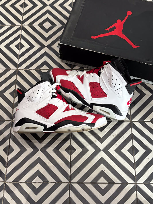 Jordan 6 Carmine (43)