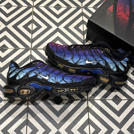 Air Max Plus (TN) Anniversary (Taille 43)
