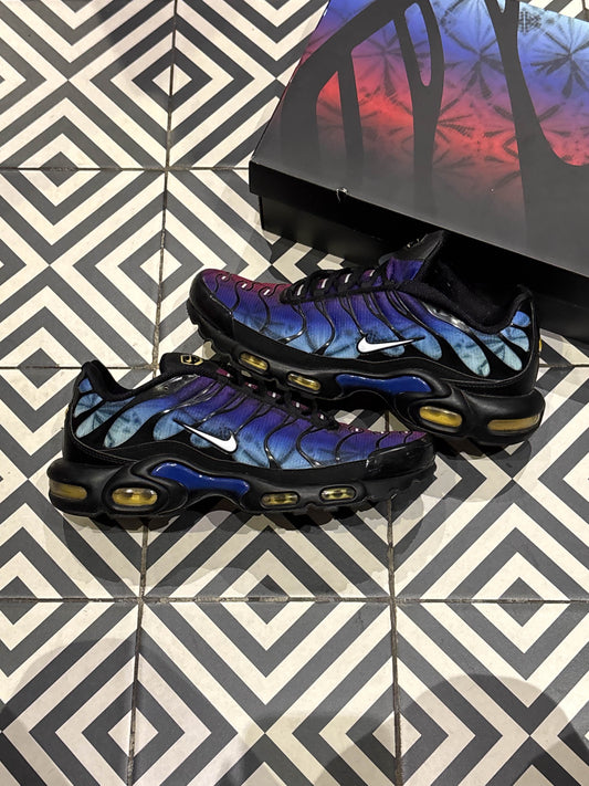 Air Max Plus (TN) Anniversary (Taille 44)
