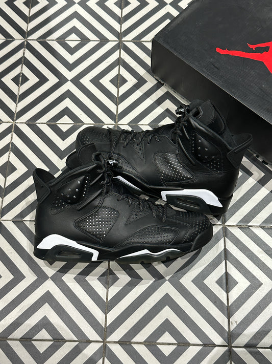 Jordan 6 Black Cat (43)