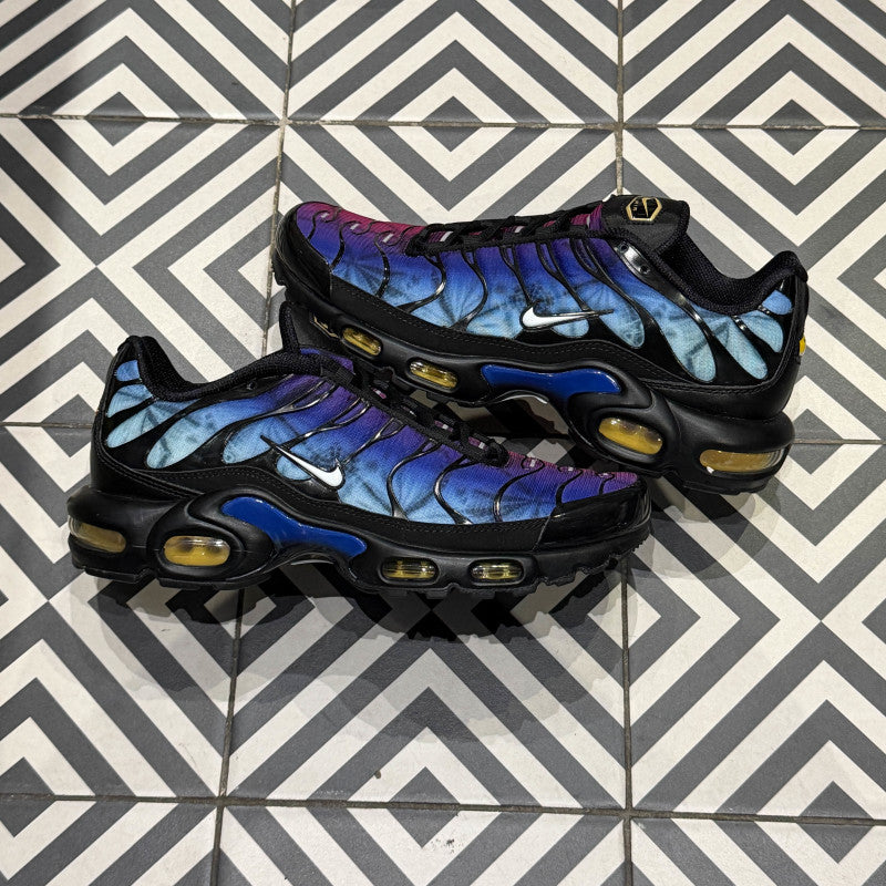 Air Max Plus (TN) Anniversary (Taille 44)