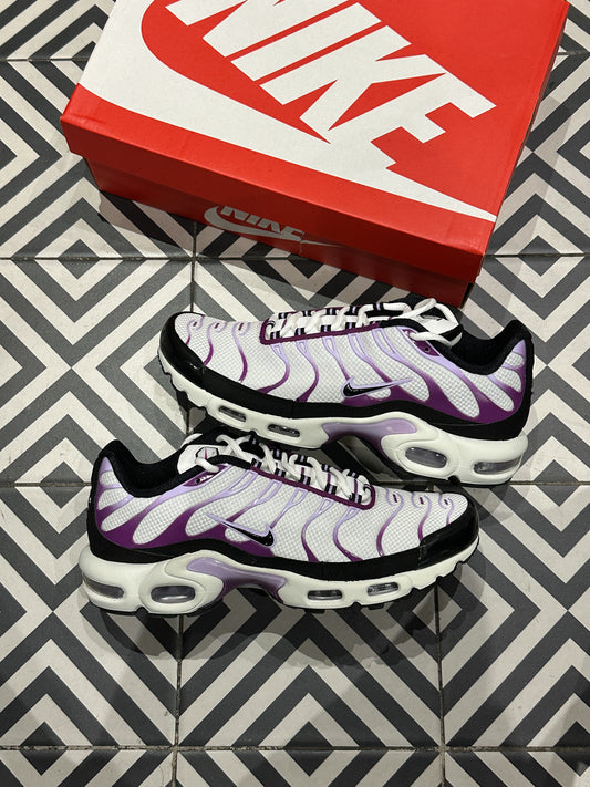 Air Max Plus (TN) Lilas (43)