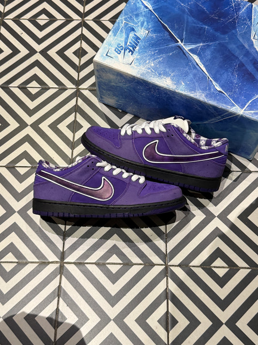 Dunk SB Lobster Purple (Special box) (Taille 43)