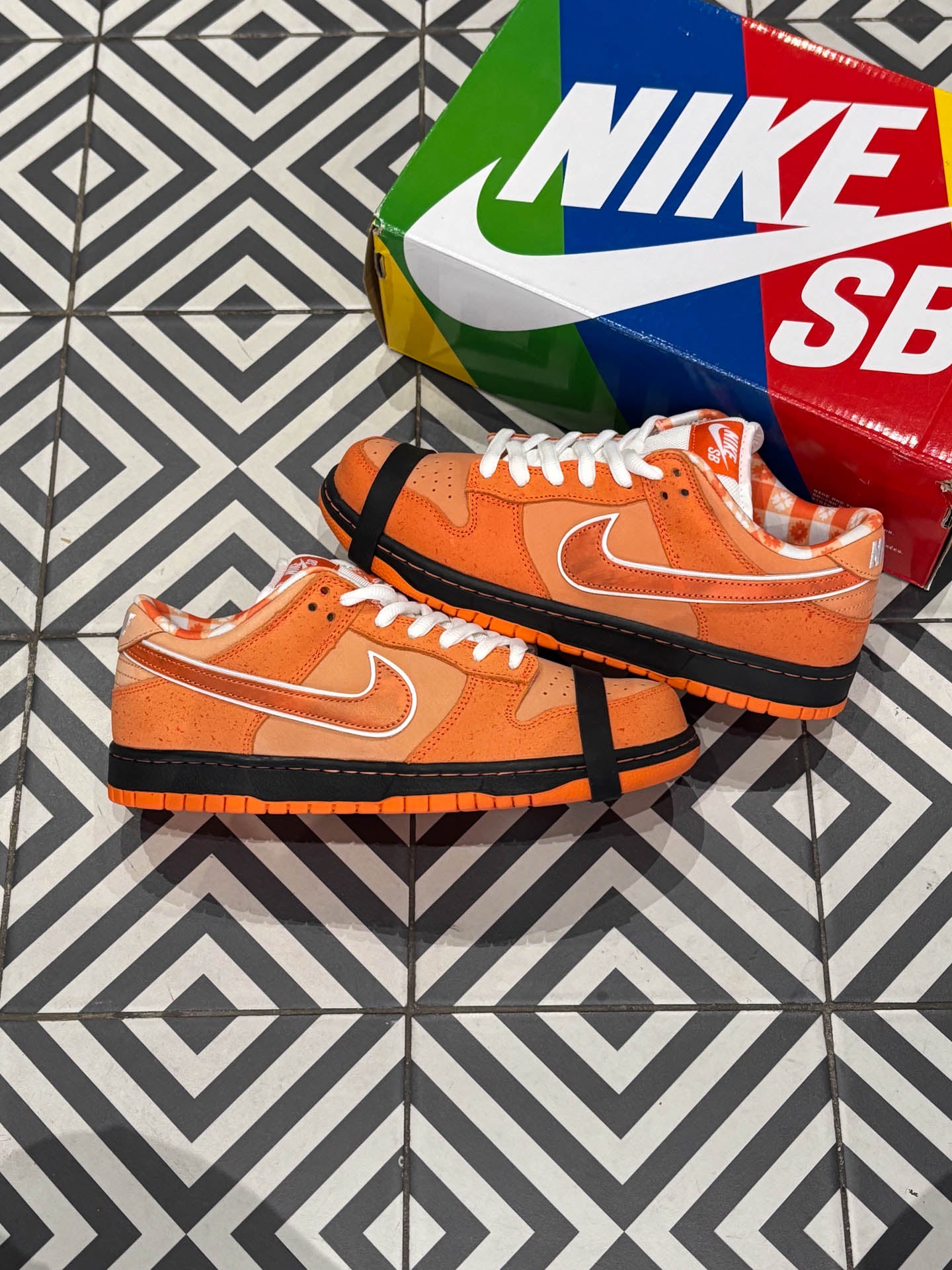 Dunk Sb Orange Lobster (Taille 43)