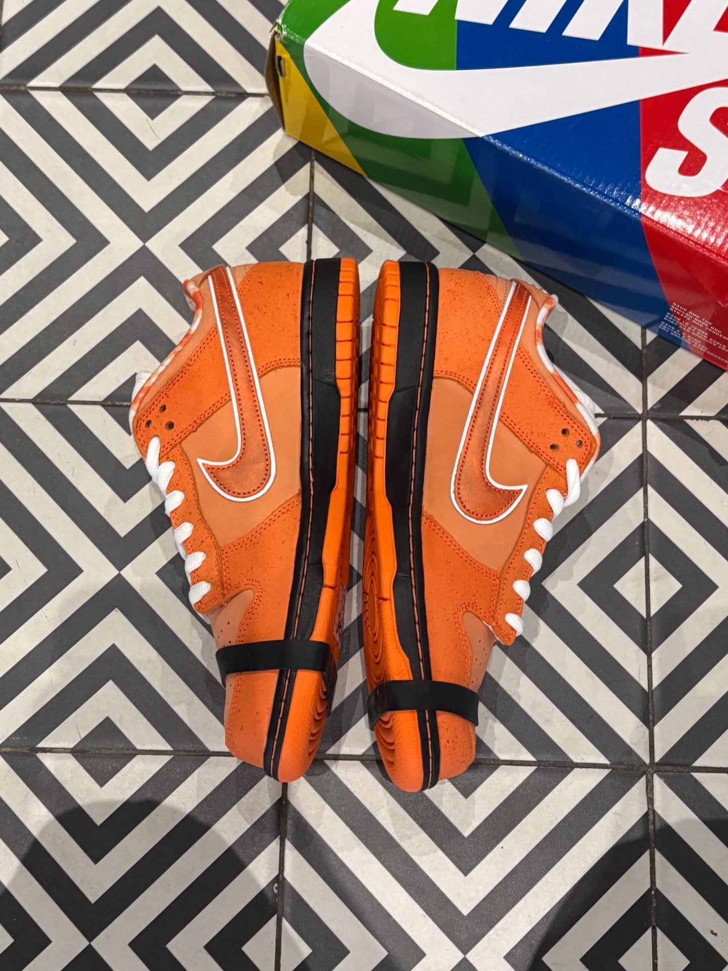 Dunk Sb Orange Lobster (Taille 43)