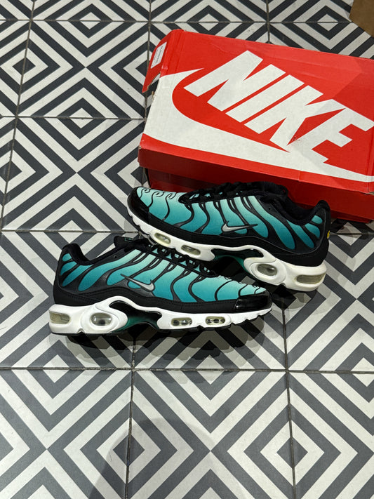 Air Max Plus (TN) Emerald (Taille 41)