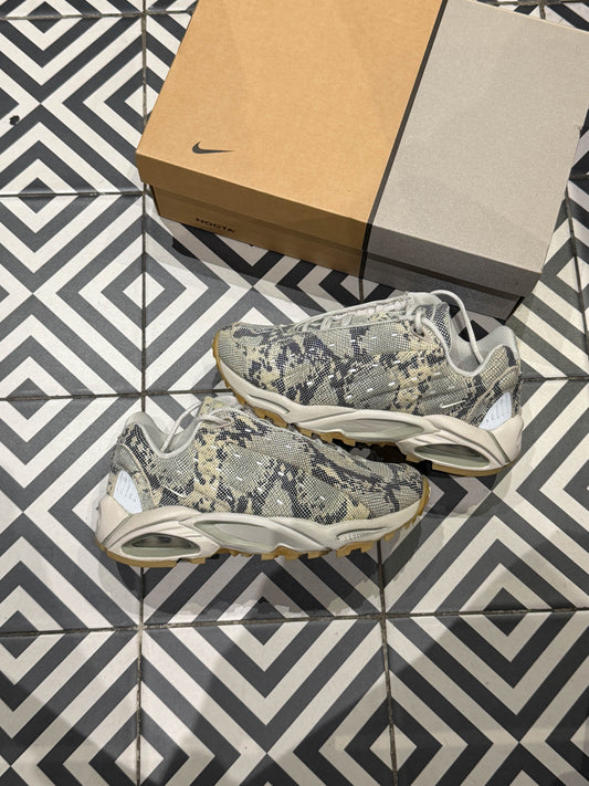 Nocta Terra Snakeskin (Taille 38)