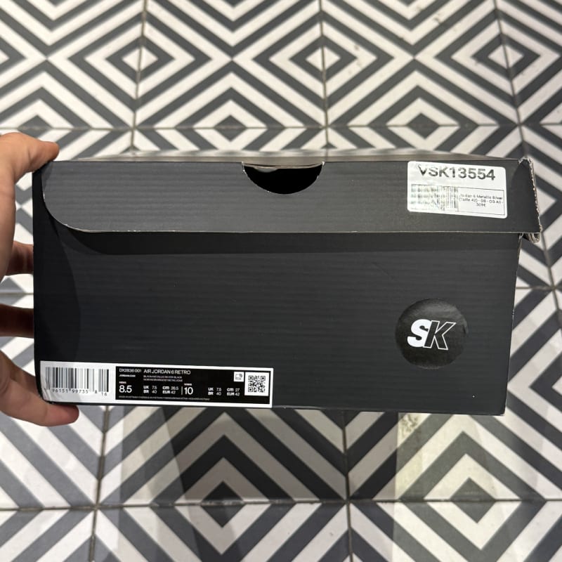 Jordan 6 Metallic Silver (Taille 42)