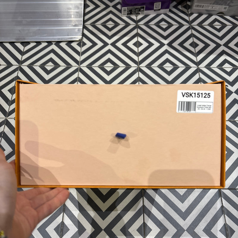 Louis Vuitton Trainer Murakami (Taille 45)