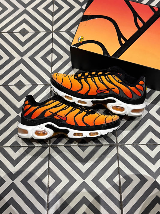 Air Max Plus (TN) Pimento (Taille 42,5)