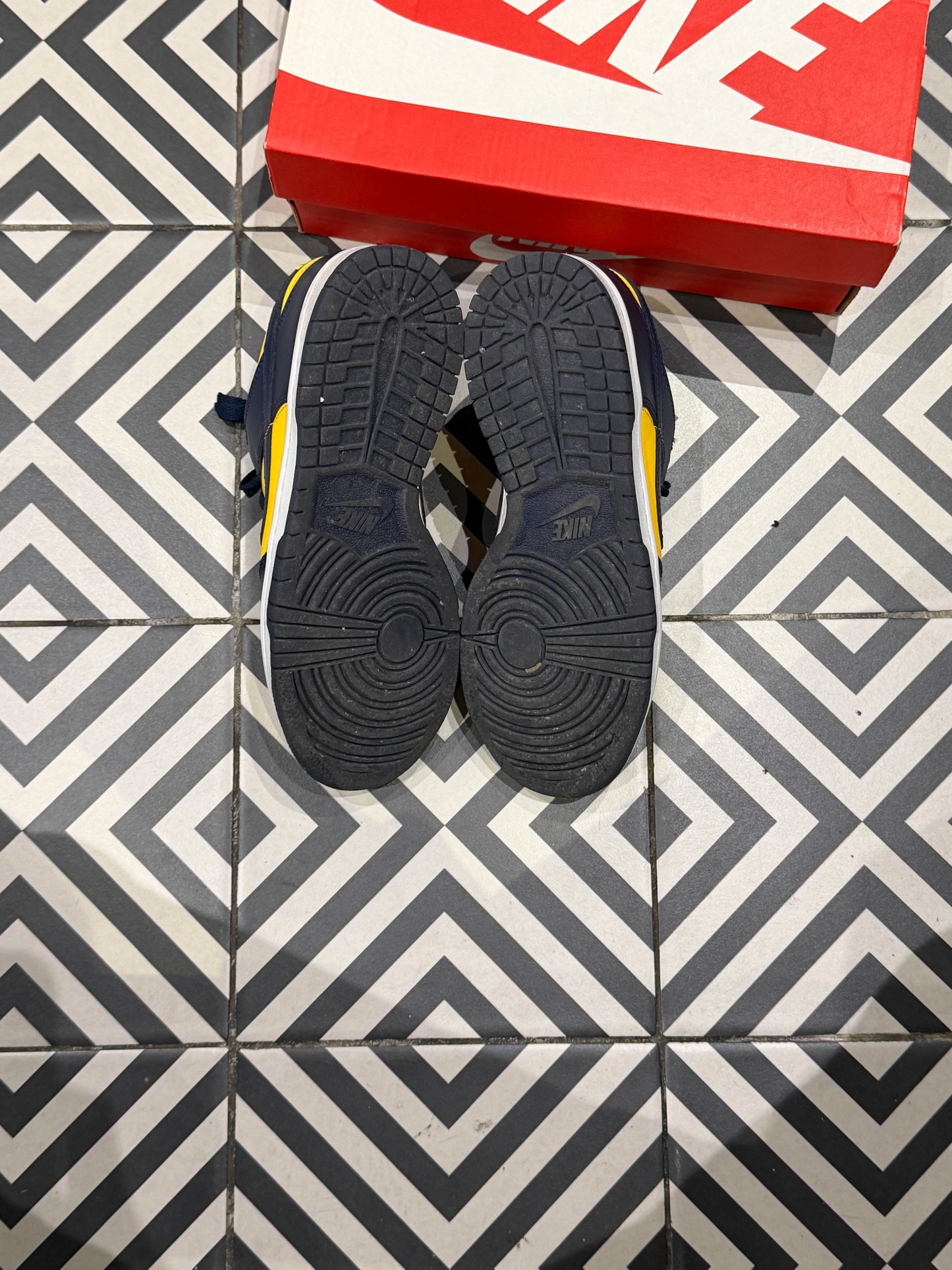 Dunk Low Michigan GS (Taille 36)