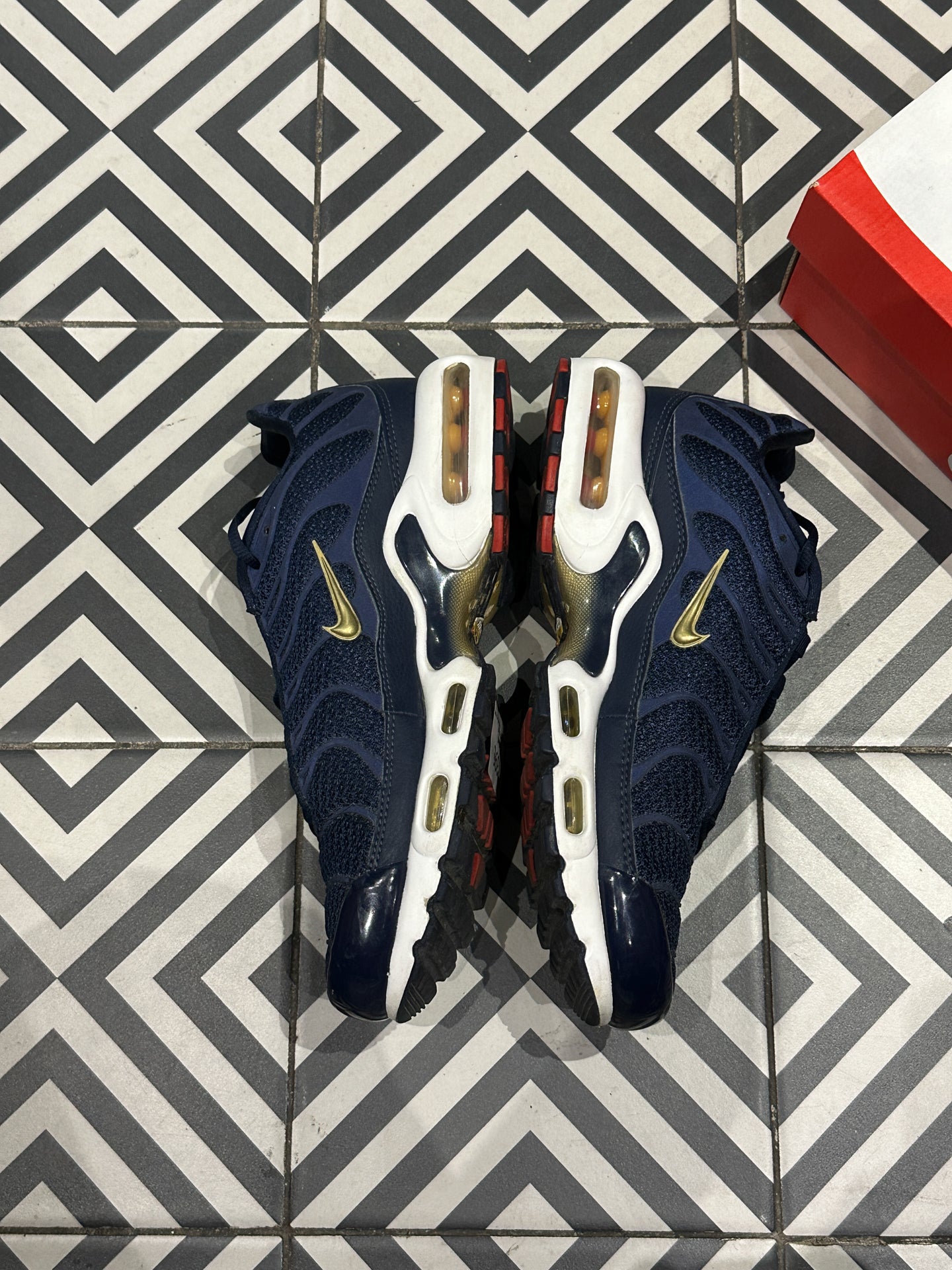 Air Max Plus (TN) FFF (41)