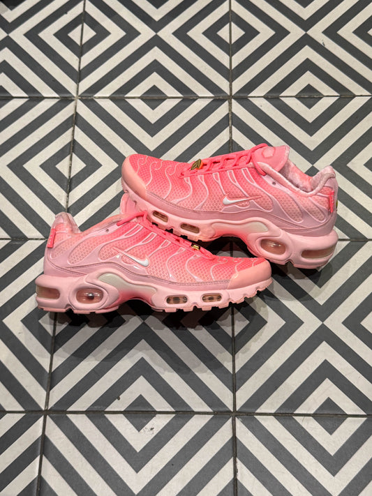 Air Max Plus (TN) Atlanta (Taille 36,5)