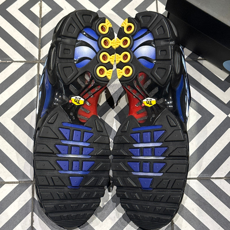 Air Max Plus (TN) Anniversary (Taille 43)