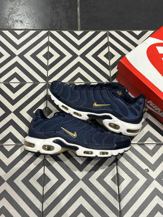Air Max Plus (TN) FFF (41)