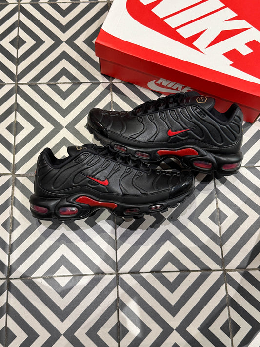 Air Max Plus (TN) Premium Bred (Taille 44,5)