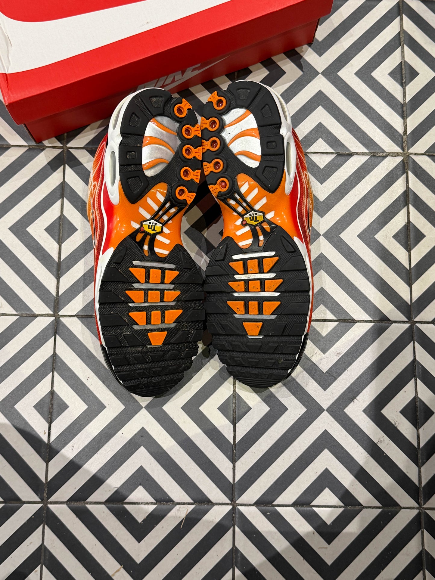 Air Max Plus (TN) Light Photography (Taille 45,5)