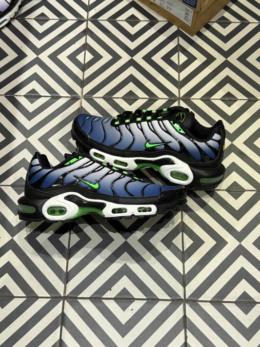 Air Max Plus (TN) icons (Taille 42)