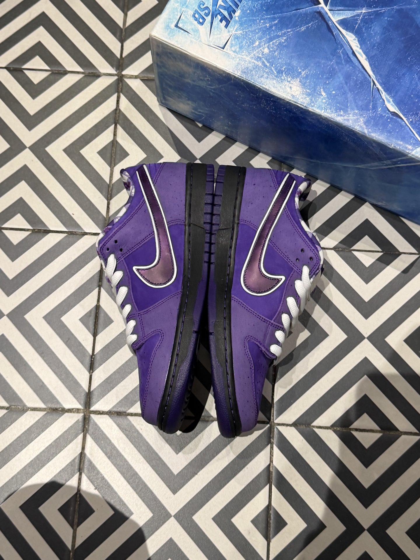 Dunk SB Lobster Purple (Special box) (Taille 43)