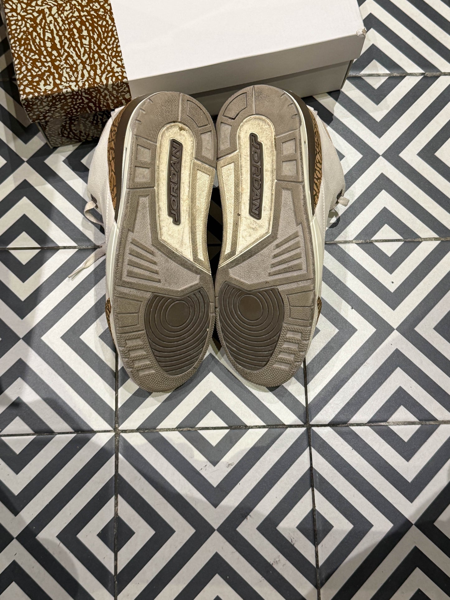 Jordan 3 Orewood (Taille 43)