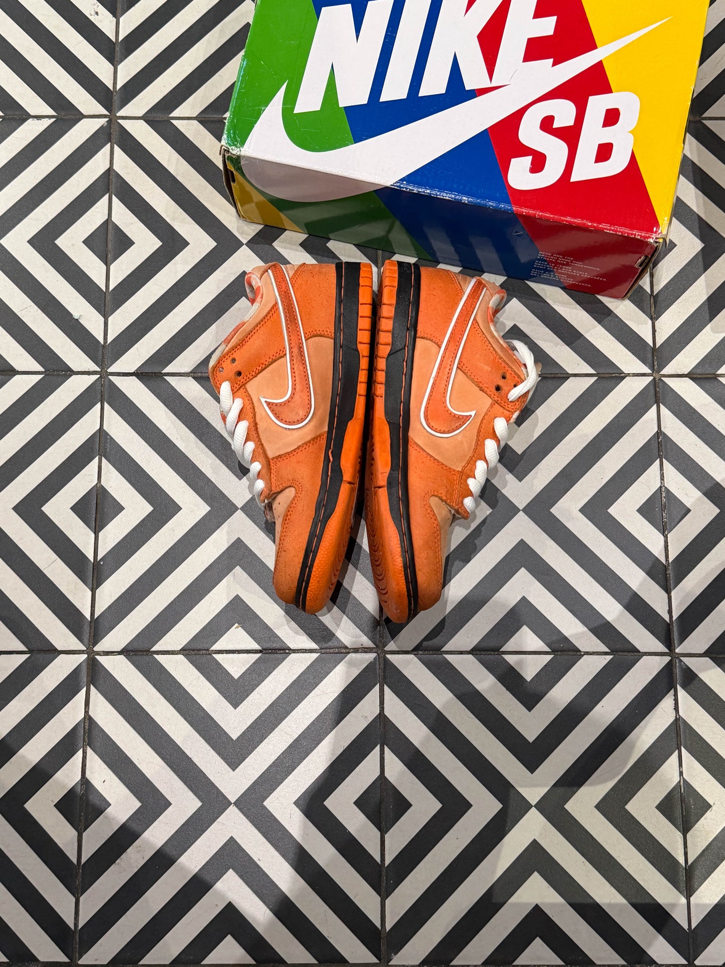 Dunk SB Lobster Orange (Taille 36)